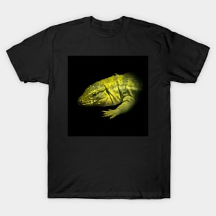 Lizard T-Shirt